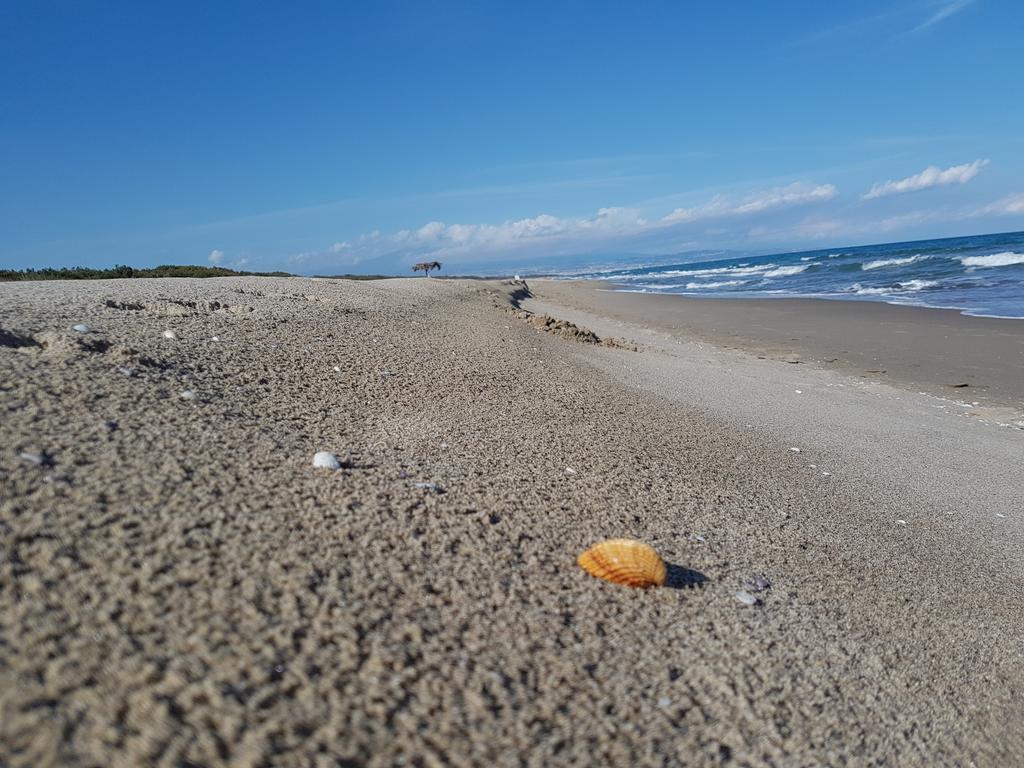 Villa sulla spiaggia tra Catania e Siracusa Agnone Bagni Esterno foto